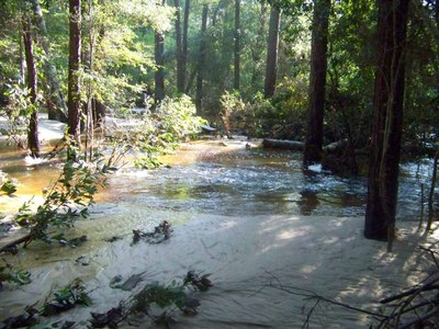 Flood-damaged picnic area