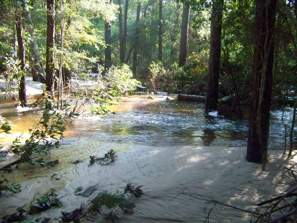 Village-Creek-Picnic-Area-3-flood-2017-055_1200p.jpg