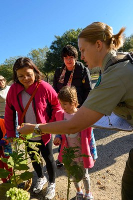 Park Ranger With Visitors