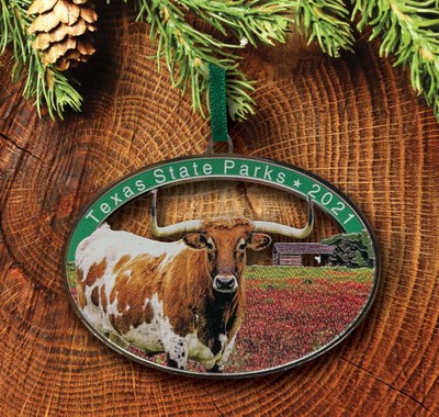 21_ornament_bg.jpg