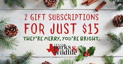 2for15_MerryBright_FB-1.JPG