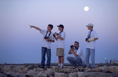 Boys birding silhouetted against the sky
