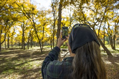 FallPhoto