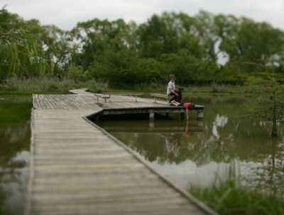 Boardwalk over marsh with boy and dog sitting