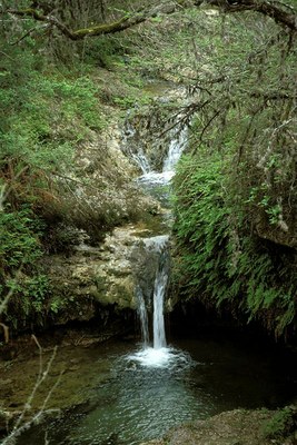 Waterfall