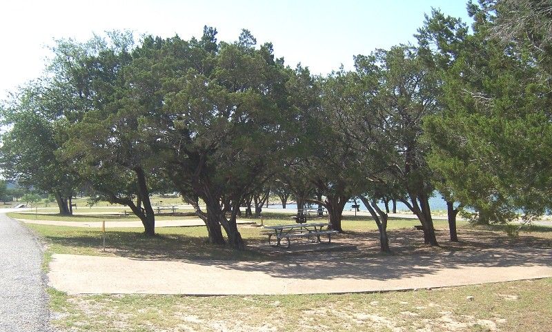 Campsite in Lakeview area