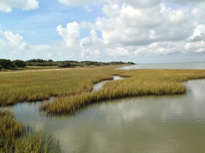 Marsh