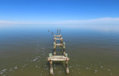pilings from an old fishing pier jutting out into the bay