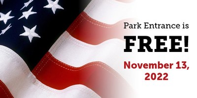 Veterans Day Art