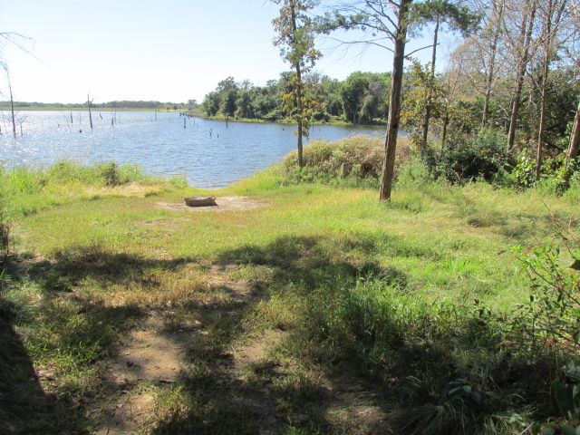 Site D