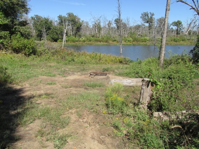 Site M