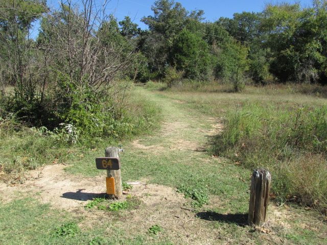 Site #64