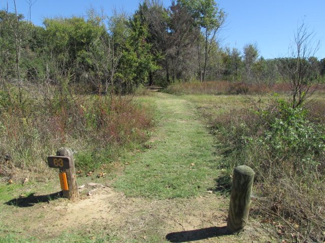 Site #63