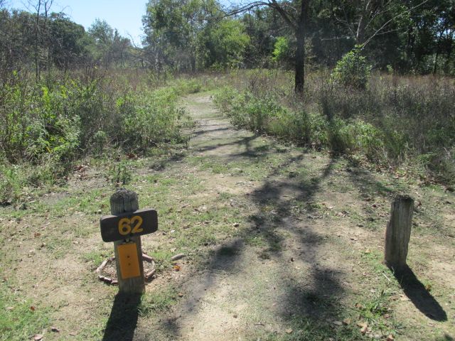 Site #62