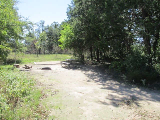 Site #62