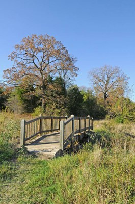 Scenic shot of trail bridge.