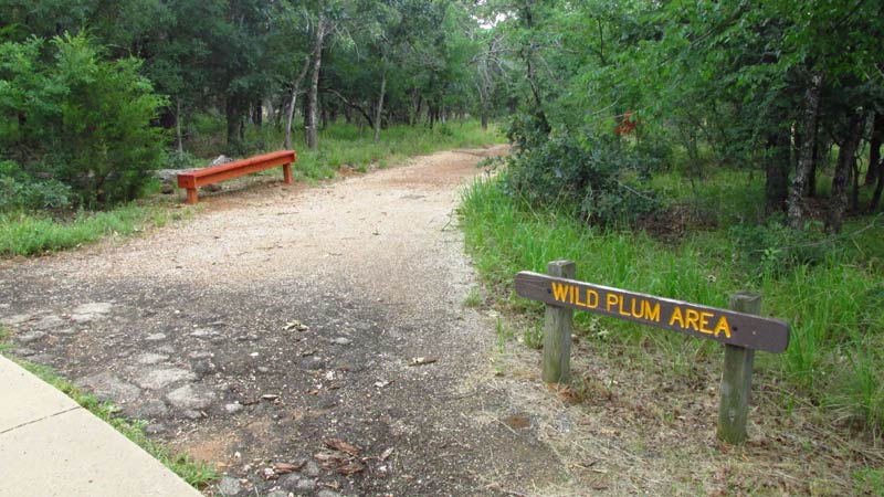 Wild Plum Area