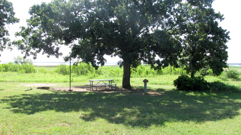 Walk-in Site #107 in the Oak Point area.
