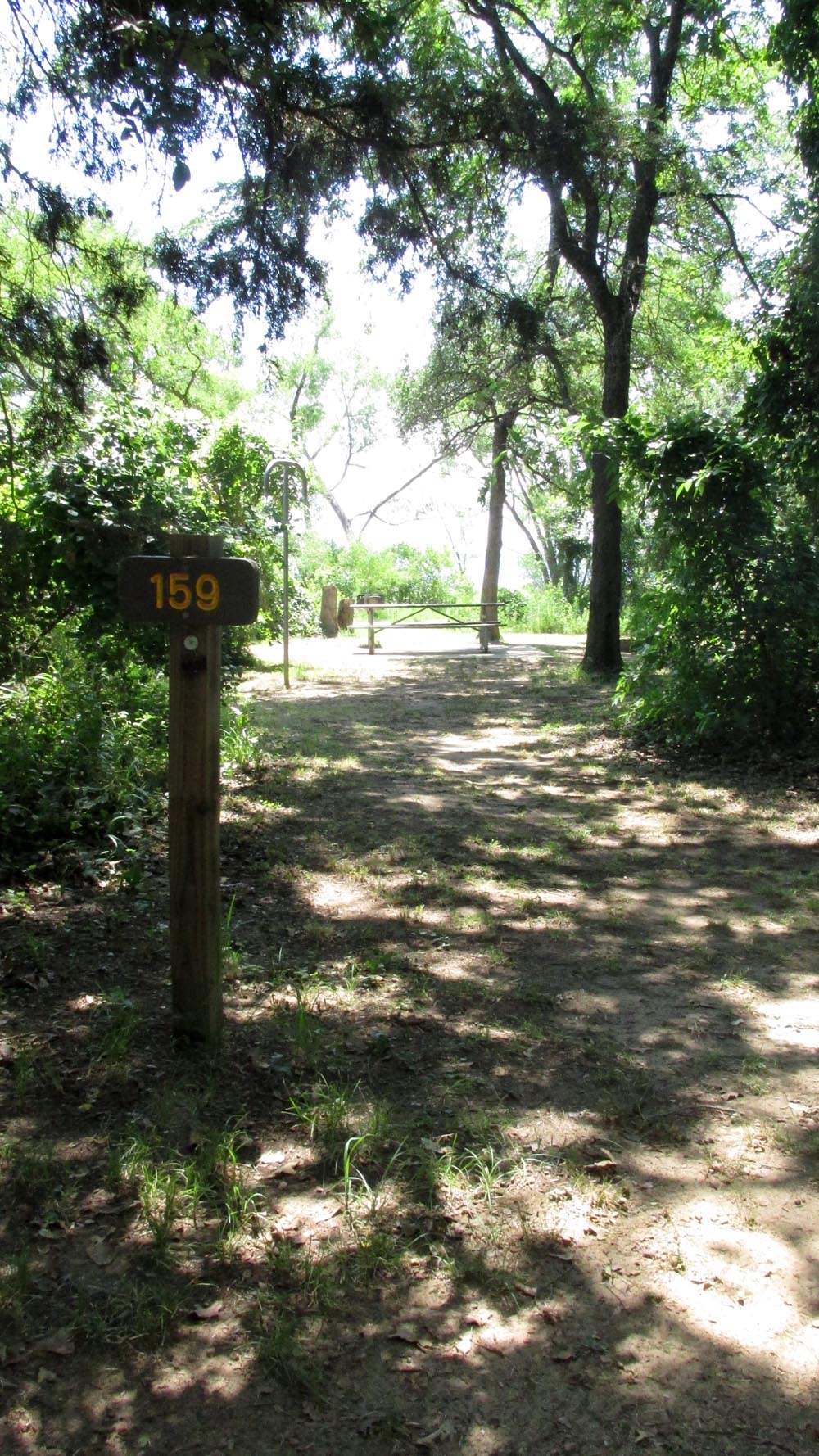 Walk-in Site #159 in the Willow Cove area.