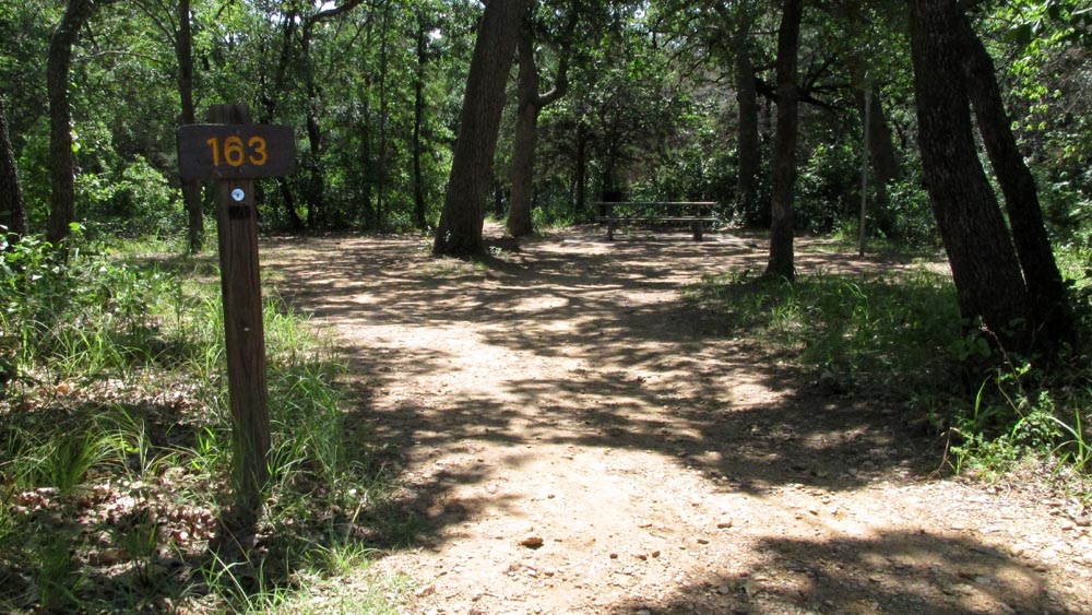 Walk-in Site #163 in the Willow Cove area.