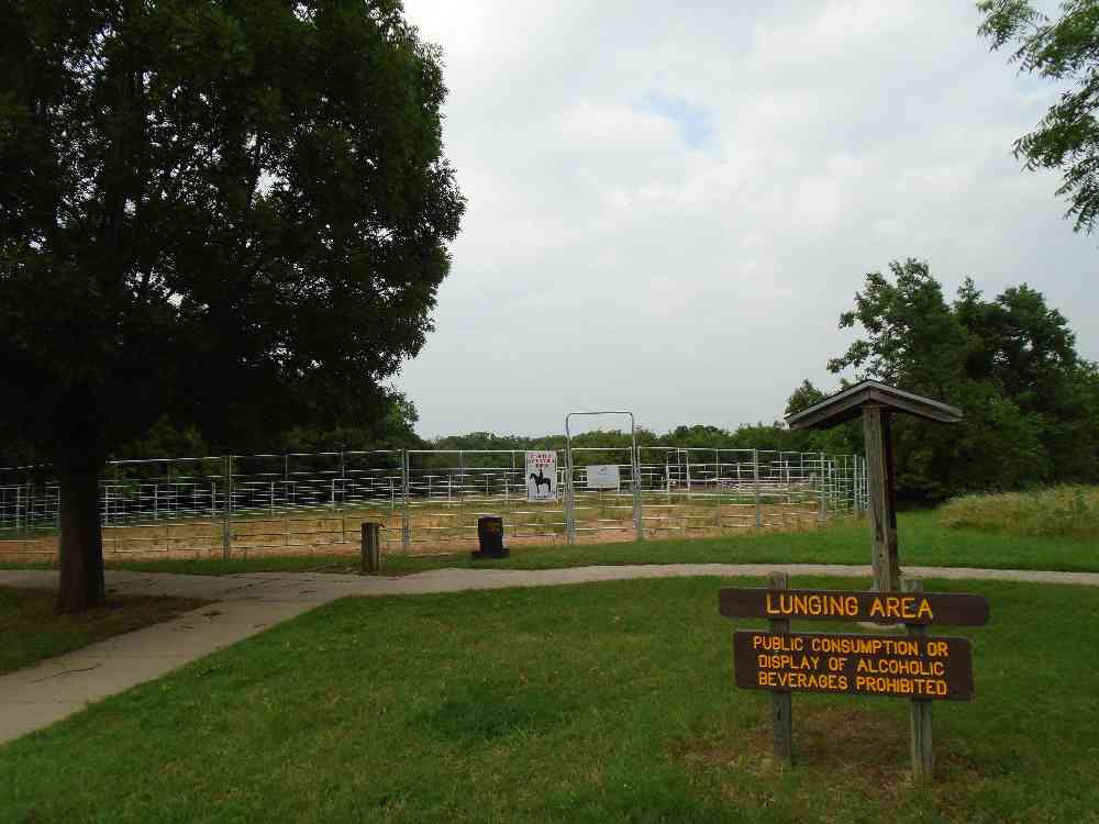 Lunging Area