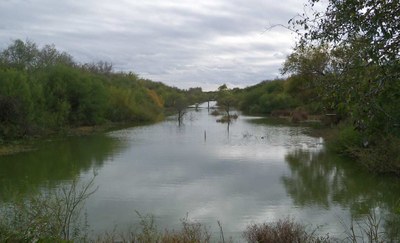 Straight body of water with brush on either side