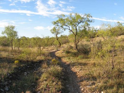 Trail meanders through a prairie area