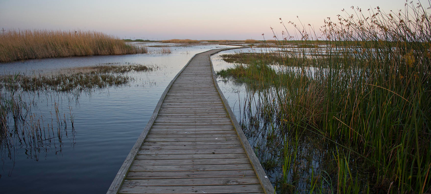 The Gambusia Nature Trail