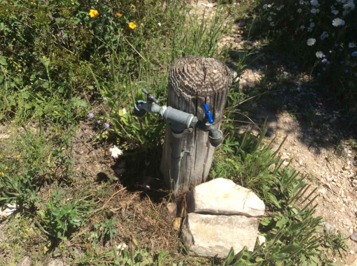 A shared water spigot near Campsite 9. 