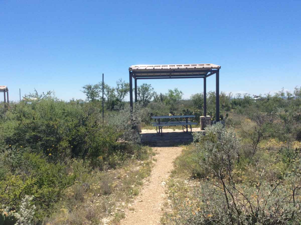 Campsite 14 in Desert Vista Camping Area.