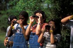 binoculars_250x167.jpg Kids using binoculars