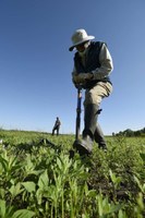 Person digging in prairie.