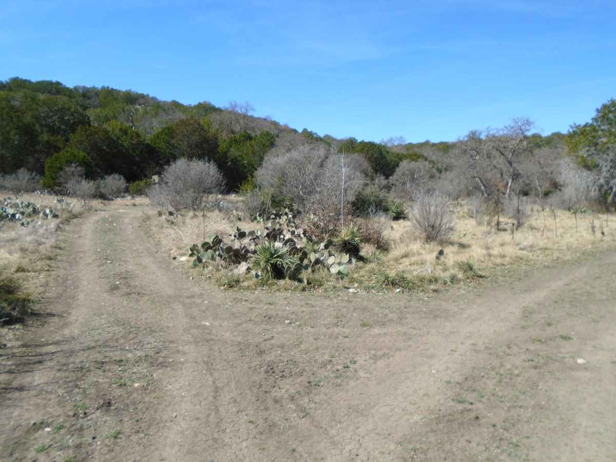 Hiking into the primitive campsite area. 