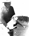 Rancher holding a lamb
