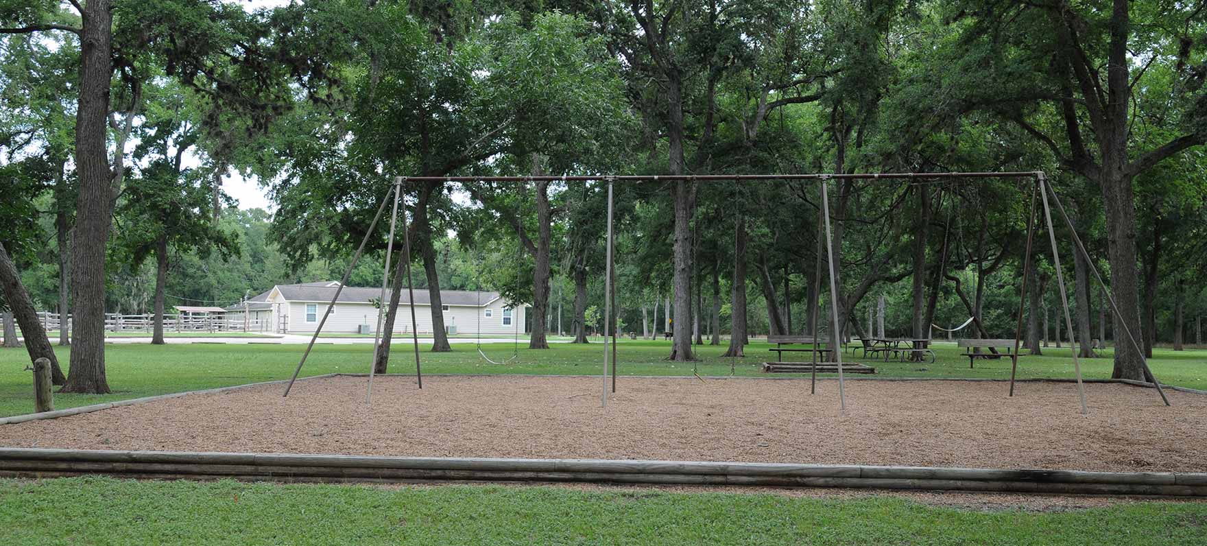 playground in Stephen F. Austin SP