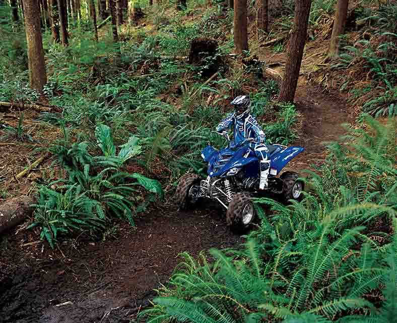 OHV_07.jpg