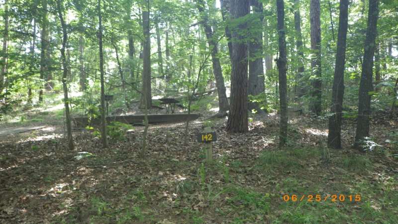 Basic Campsite #142 in the Sumac Bend area. 
