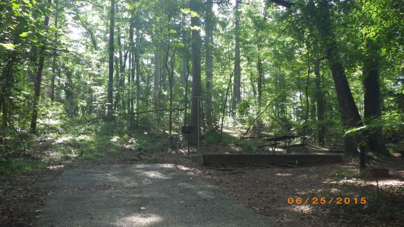 Basic Campsite #142 in the Sumac Bend area.