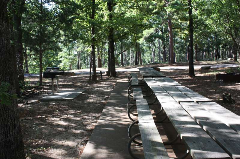 The Group Picnic Area 1.