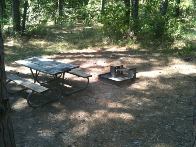 All of the shelters have a fire ring / grill, picnic table, and a lantern hook.