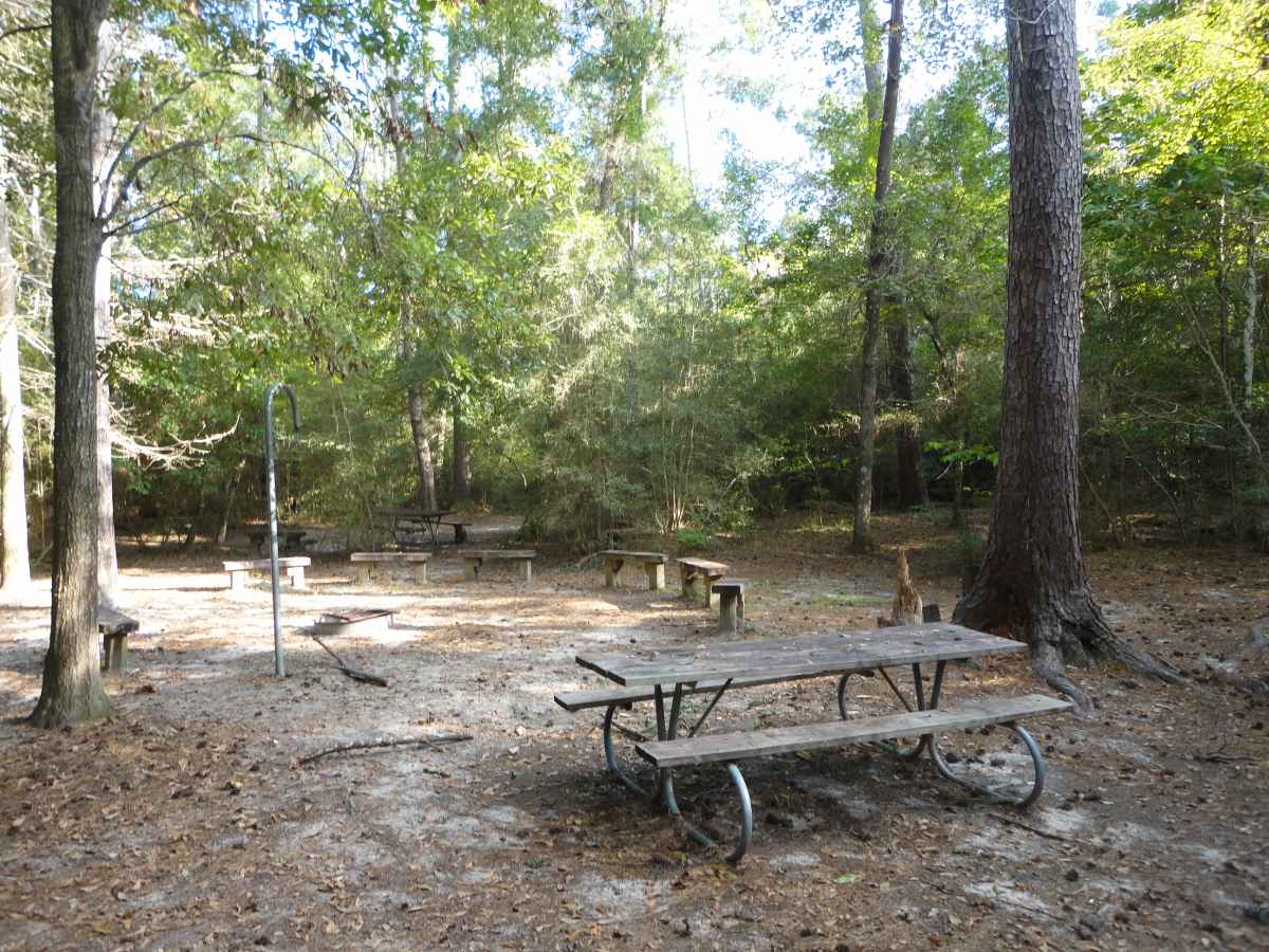 Group Walk-in Camping Area. 