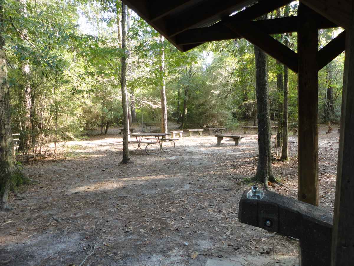 Group Walk-in Camping Area. 