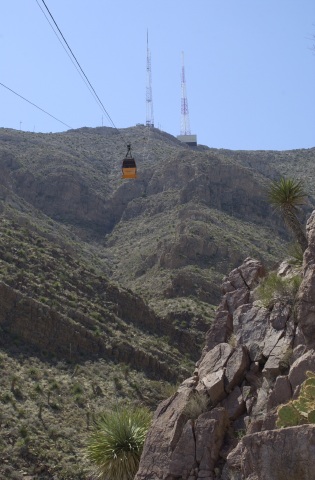 Wyler Tram_.jpg