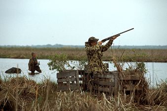 Duck hunting in the Guadalupe Delta Wildlife Management Area